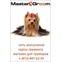 Зоосалон MasterGroom