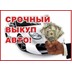 Выкуп АВТО