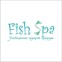 Центр FISH SPA терапии